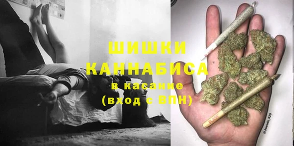 ГАЛЛЮЦИНОГЕННЫЕ ГРИБЫ Алзамай