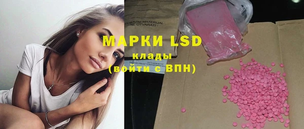 ГАЛЛЮЦИНОГЕННЫЕ ГРИБЫ Алзамай