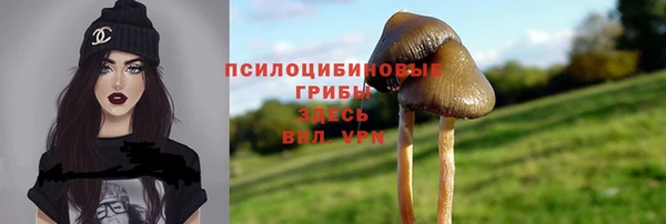 соль ск Алексин