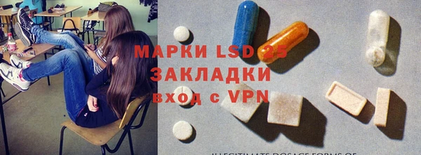 ГАЛЛЮЦИНОГЕННЫЕ ГРИБЫ Алзамай